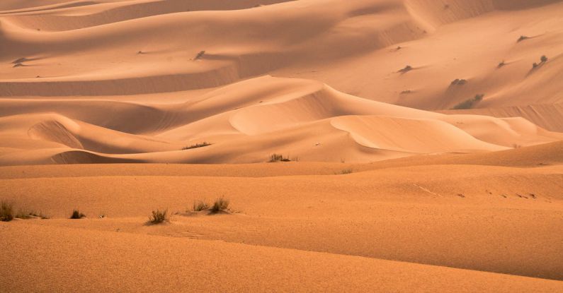 What Are the Characteristics of Deserts