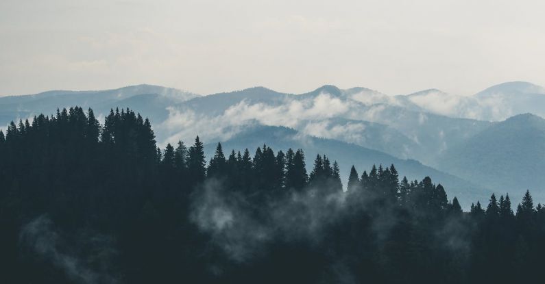 Mountains - Aerial Photography of Pine Trees on the Mountain