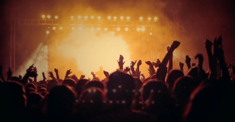 Festivals - People at Concert