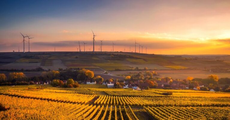 Sustainable Farming - Scenic View of Agricultural Field Against Sky during Sunset